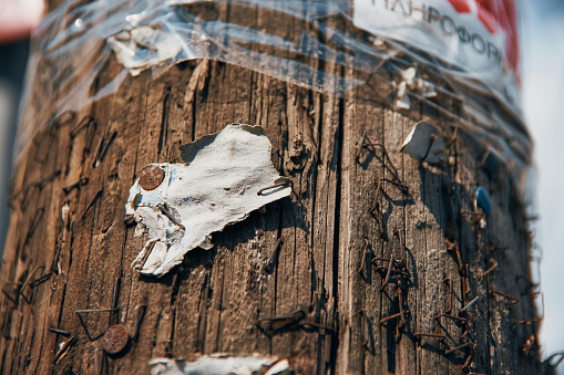 A close-up shot of stapled torn paper ads on a wooden pole.