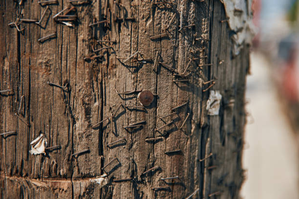 vecchie graffette arruggiginiti sul palo del legno in grecia - rusty textured textured effect staple foto e immagini stock