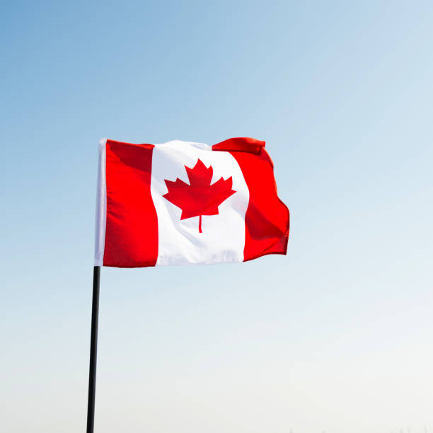 istock Canadian flag waving  against clear blue sky 1273877242