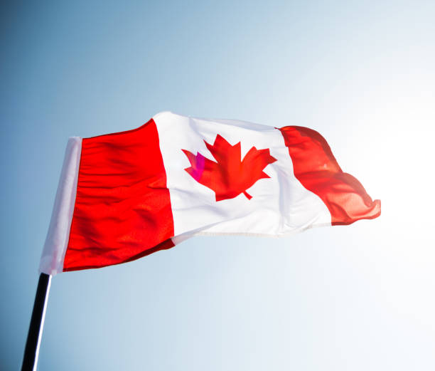 istock Canadian flag waving  against clear blue sky 1273878209