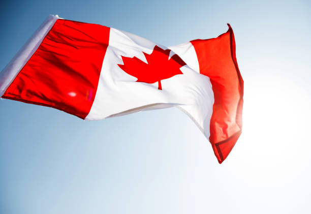 istock Canadian flag waving  against clear blue sky 1273878273