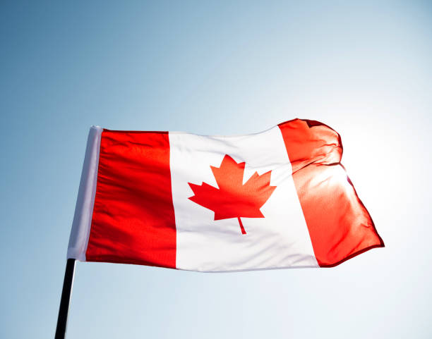 istock Canadian flag waving  against clear blue sky 1273878563
