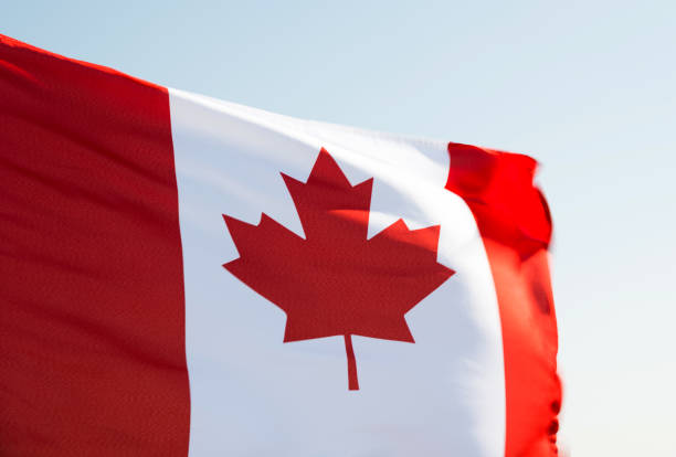 istock Canadian flag waving in the wind 1273878662