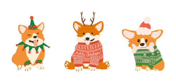 Vector Christmas postcard with cute corgi Vector Christmas postcard with cute corgi in ugly sweaters and deers antlers. Smiling dogs for Xmas party invitation. ugly cartoon characters stock illustrations