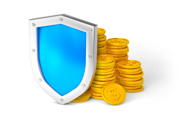 Shield and money. Money protection concept. Isolated on white background. 3d render.