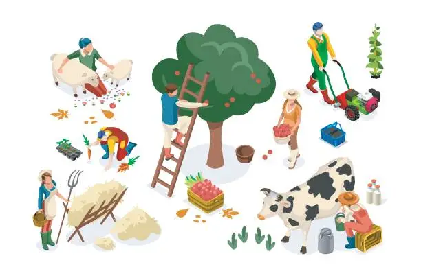 Vector illustration of Men on happy farm work smiling on harvest and working on seasonal farms of apples. Happy agriculture of autumn fruits, people with garden fruits, agricultural season. Harvest flat vector illustration.