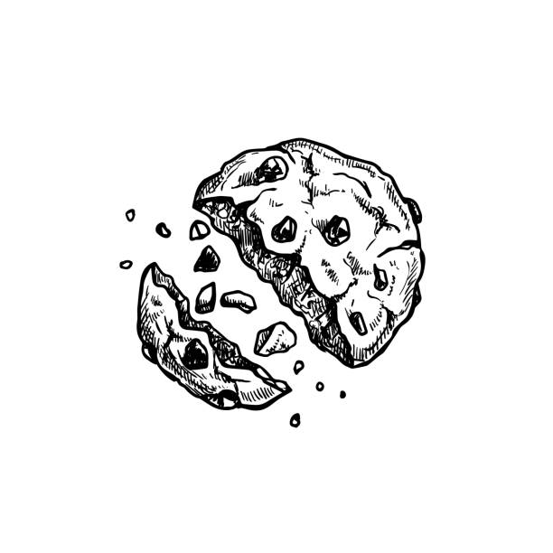 ilustraciones, imágenes clip art, dibujos animados e iconos de stock de galleta de chocolate con migas. vista superior. estilo de boceto dibujado a mano. recién horneado. una galleta americana. ilustración vectorial aislada sobre fondo blanco. - chocolate chip cookie bakery chocolate homemade