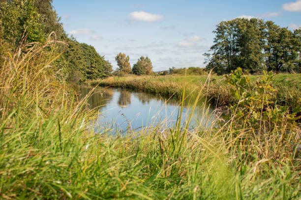 istock Trees in the park near the river. 1273883769