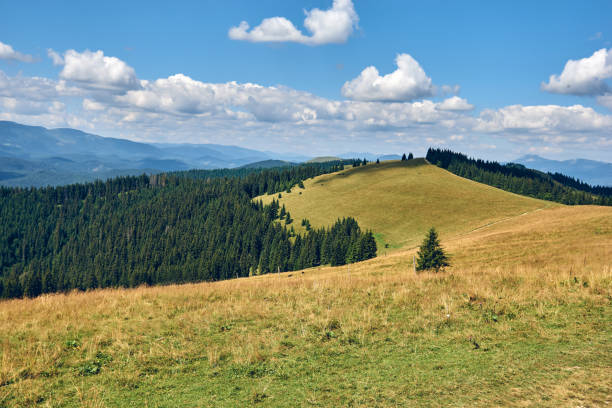 istock Mountains hills landscape during a sunny day with blue sky clouds. Dark autumn trees. Forest in summer. Hiking in wild mountains. Adventure Local Travel Concept 1273885151