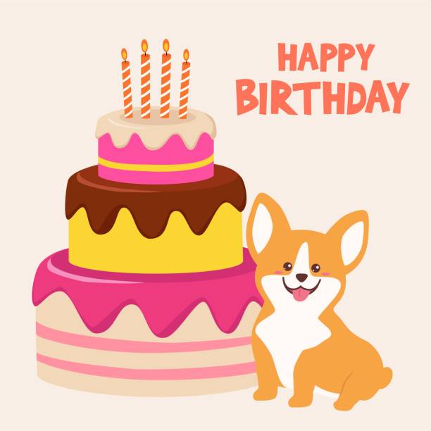 ilustraciones, imágenes clip art, dibujos animados e iconos de stock de tarjeta de cumpleaños con corgi divertido y un pastel. ilustración de vacaciones vectoriales. - birthday card dog birthday animal