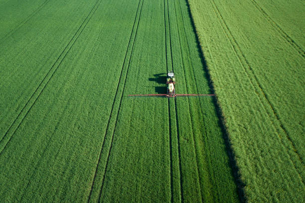 trator em um campo de trigo na primavera - monocultura - fotografias e filmes do acervo