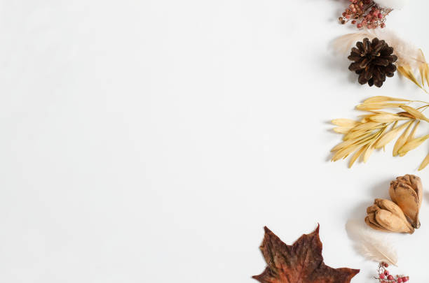 istock Layout of autumn dry materials of different trees on a white background. Copy space, flat lay, autumn frame concept 1273888898