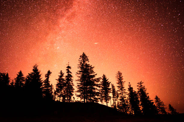 istock Milky Way at night in the mountains 1273891531