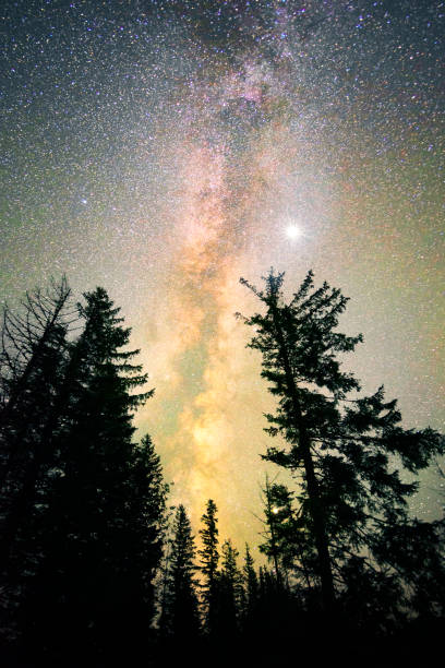 istock Milky Way at night in the mountains 1273894553