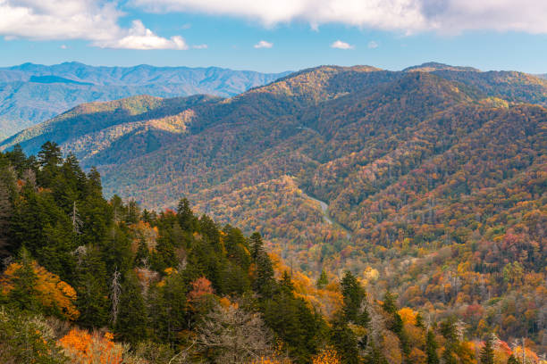 Great Smoky Mountains National Park, Tennessee, USA at the Newfound Pass Great Smoky Mountains National Park, Tennessee, USA overlooking the Newfound Pass in autumn. newfound gap stock pictures, royalty-free photos & images