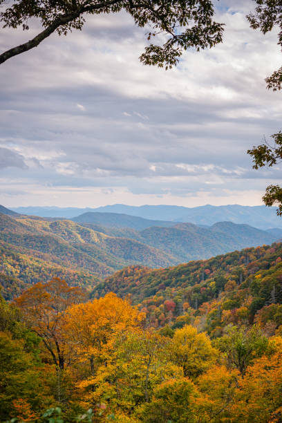 Great Smoky Mountains National Park, Tennessee, USA at the Newfound Pass Great Smoky Mountains National Park, Tennessee, USA overlooking the Newfound Pass in autumn. gatlinburg stock pictures, royalty-free photos & images