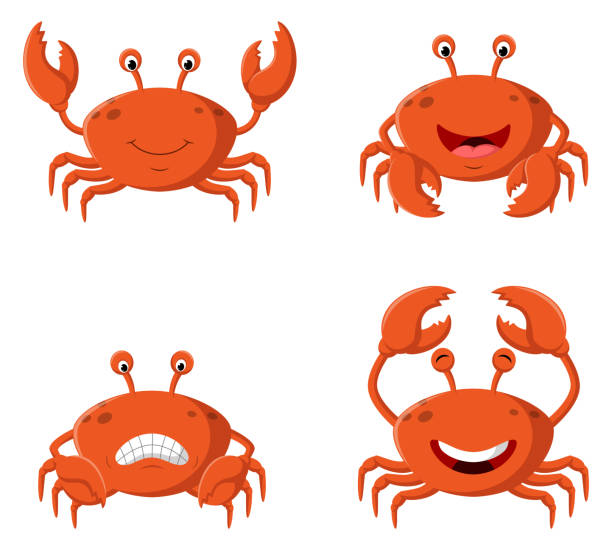 Cute Cartoon Crab Different Expression Stock Illustration - Download Image  Now - Crab, Cute, Portrait - iStock