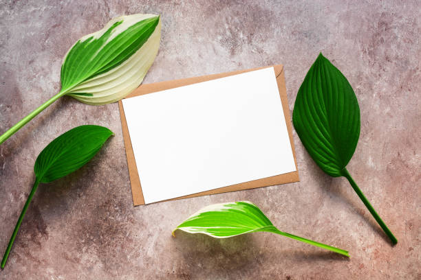 istock Green hosta leaves and blank card with craft envelope on beige textured background. Minimalistic stationery scene. Company corporate identity template. Invitation mockup. Top view. 1273906100