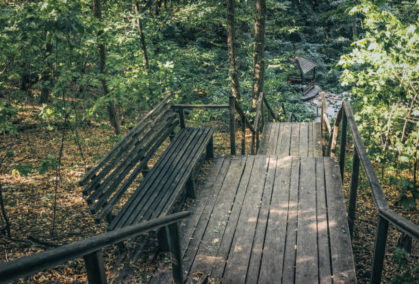 Autumn walk through the deciduous forest. Old weathered oak staircase and descent from the hill into the hollow to the forest gazebo and the spring