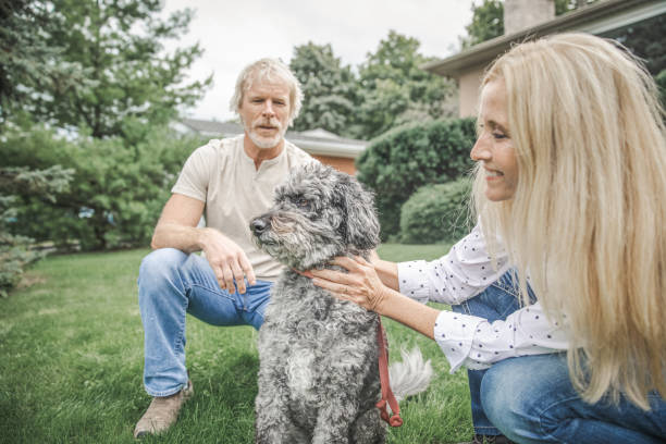 istock Couple and Their Dog 1273908018