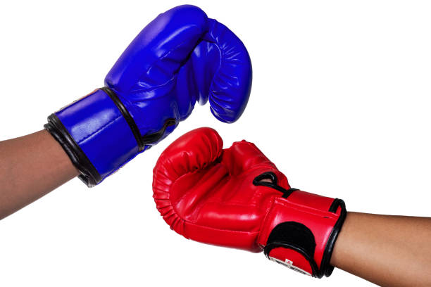 istock Boxers wearing red and blue gloves touch each other as a greeting. 1273912001