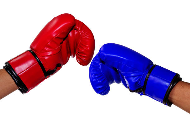 istock Boxers wearing red and blue gloves touch each other as a greeting. 1273912024
