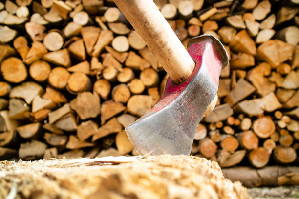 istock Small pile of wood 1273913250