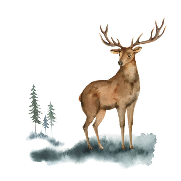istock Watercolor vector Christmas card with deer and landscape. Hand painted illustration for greeting postcard, invitations, photos, posters, quotes and more. Isolated on white background. 1273913484