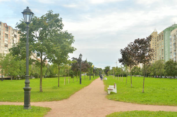 istock Alley in park at summer. 1273914511