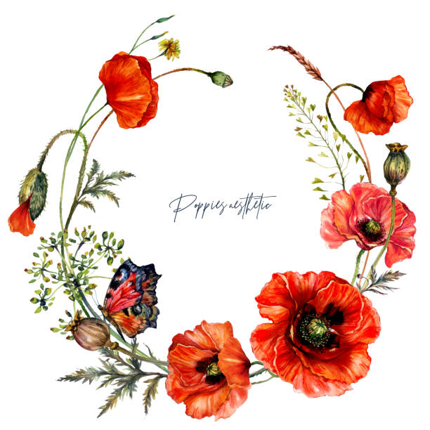 wieniec akwarelowy wykonany z czerwonych kwiatów maku w stylu vintage. - oriental poppy flower head lace poppy stock illustrations