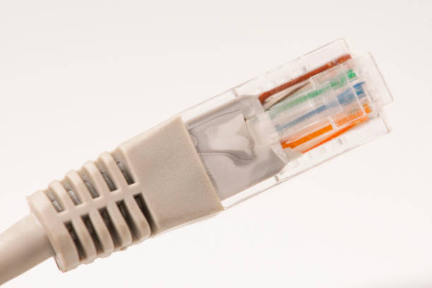 szary kabel sieciowy z formowanym wtyczką rj45 izolowany na białym tle. - computer cable nobody rj45 network connection plug zdjęcia i obrazy z banku zdjęć