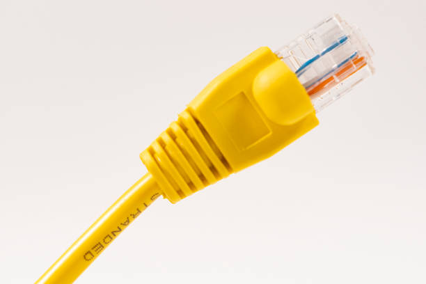 cavo di rete giallo con spina rj45 stampata isolata su sfondo bianco. - network connection plug rj45 cable bandwidth foto e immagini stock