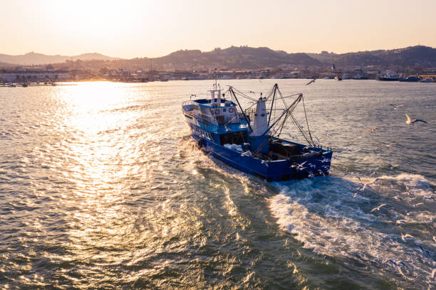 istock Fishing boat coming back to the harbor 1273917895