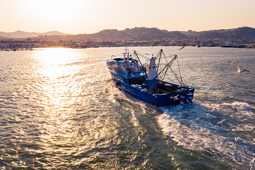 Fishing boat coming back to the harbor in Italy, aerial point of view