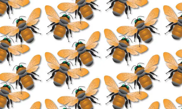 Vector illustration of Bee pattern