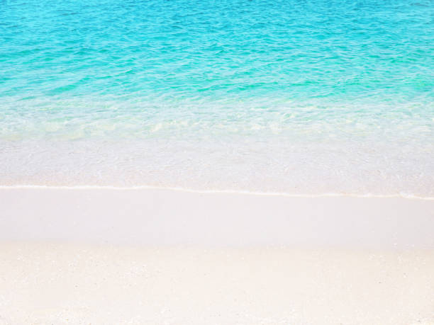 istock Beach background. Tropical paradise. Sandy shore washing by the wave 1273919475
