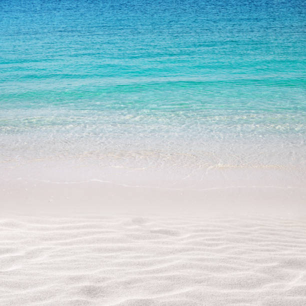 istock White sandy beach background. Crystal clear turquoise sea. 1273919478