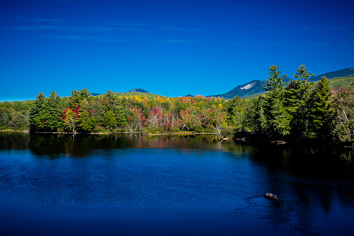 Early autumn in the Maine woods, Baxter State Park, Millinocket, Maine, USA