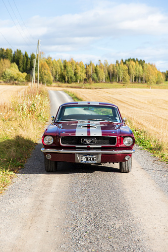 Hamar, Norway -27th of September 2014. Classic, American, muscle car parked in the countryside of Norway. Maroon and gray striped color.