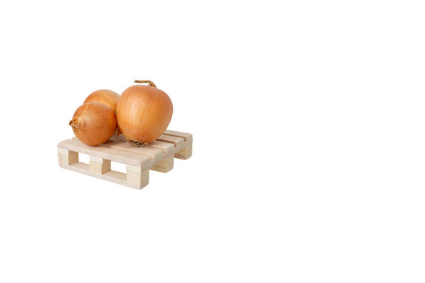 Close up of three ripe fresh bulb onion on wooden mini pallet isolated on white background with large copy space.Season harvest of brown onion.Concept of selling product in vegetable store department. primer plano de tres cebollas bulbadas frescas maduras sobre mini pallet de madera aisladas sobre fondo blanco con gran espacio de copia. cosecha de sazonar de cebolla marrón. concepto de venta de productos en el departamento de hortalizas