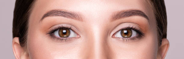 istock Female brown eyes with light makeup 1273922242