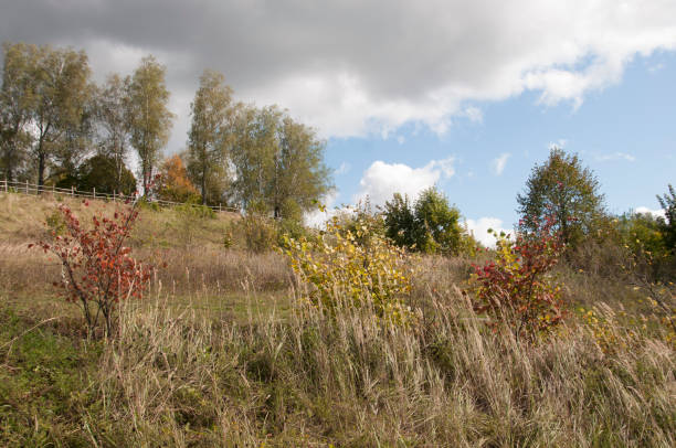 istock Polenovo park landscape 1273923499