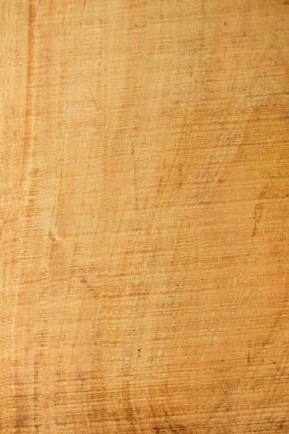 istock Wood wall background or texture, Natural pattern wood background,abstract wooden texture 1273924788
