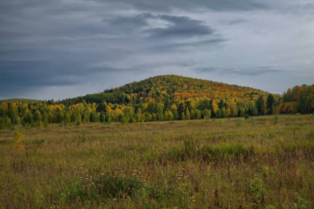 istock Majestic sunset in the mountains forest. Dramatic sky. Ural mountains. 1273924866