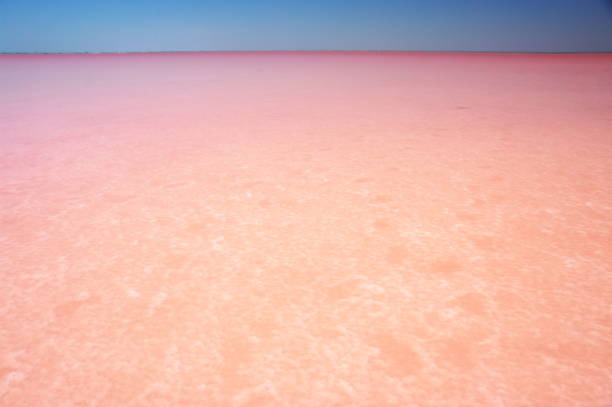 istock Pink salt lake 1273925388
