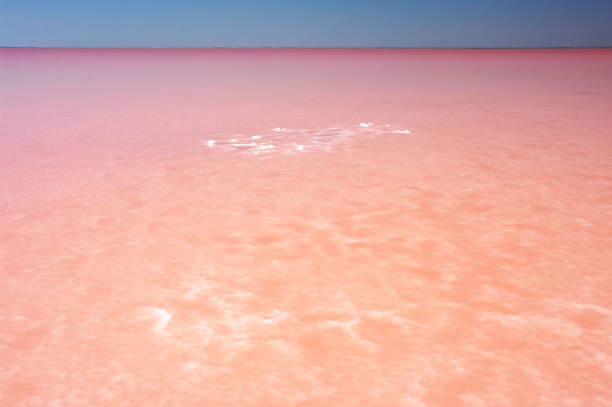 istock Pink salt lake 1273925391