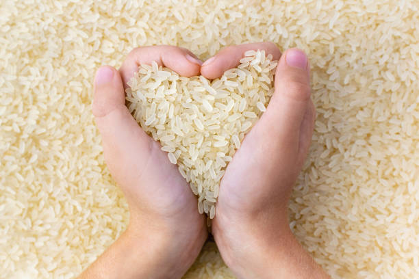 ręce dziecka trzymają stos suchego białego złotego ryżu w kształcie serca. lekkie ziarna zbóż, widok z góry. ekologiczna naturalna żywność, opieka zdrowotna. składnik kuchni azjatyckiej. - rice cereal plant white rice white zdjęcia i obrazy z banku zdjęć