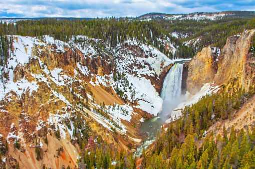 Lower Falls in the Grand Canyon of Yellowstone National Park of USA