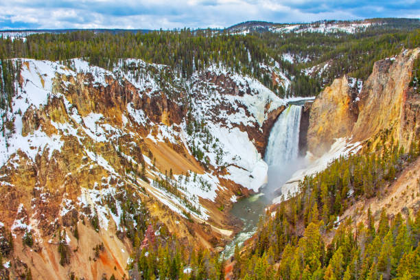 yellowstone lower falls in spring - lower falls imagens e fotografias de stock