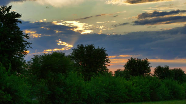 istock Sunset with a yellow sun and sun rays thru trees 1273931395